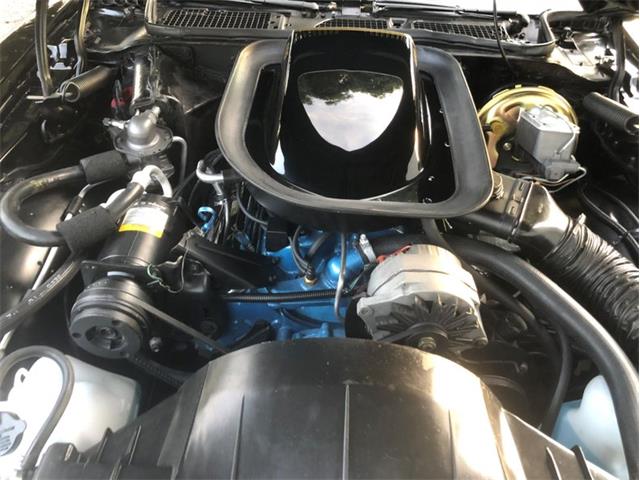 1976 Pontiac Firebird Trans Am (CC-1237938) for sale in Greensboro, North Carolina