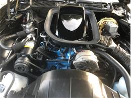 1976 Pontiac Firebird Trans Am (CC-1237938) for sale in Greensboro, North Carolina