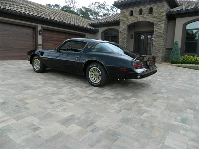 1977 Pontiac Firebird Trans Am (CC-1238304) for sale in Greensboro, North Carolina