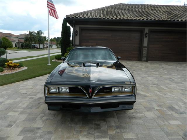1977 Pontiac Firebird Trans Am (CC-1238304) for sale in Greensboro, North Carolina