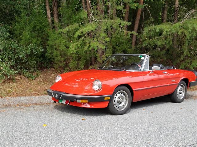 1986 Alfa Romeo Spider (CC-1238482) for sale in Spartanburg, South Carolina