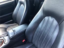 1999 Jaguar XK8 (CC-1238548) for sale in Milford City, Connecticut