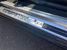 1999 Jaguar XK8 (CC-1238548) for sale in Milford City, Connecticut