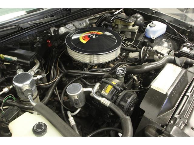 1987 Oldsmobile Cutlass (CC-1238741) for sale in Lutz, Florida