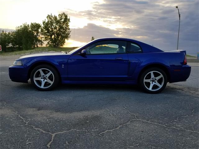 2003 Ford Mustang SVT Cobra (CC-1238807) for sale in Michigan City, Indiana