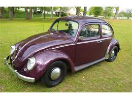 1960 Volkswagen Beetle (CC-1230910) for sale in Rogersville, Alabama