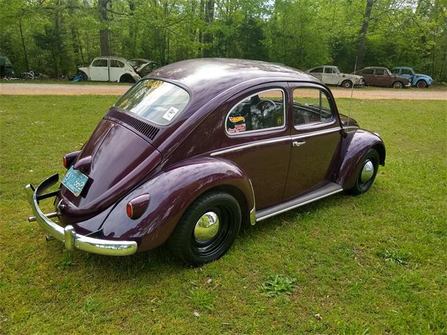 1960 Volkswagen Beetle For Sale Classiccars Com Cc 1230910