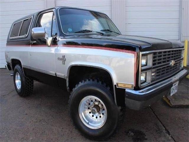 1984 Chevrolet Blazer (CC-1241095) for sale in Cadillac, Michigan