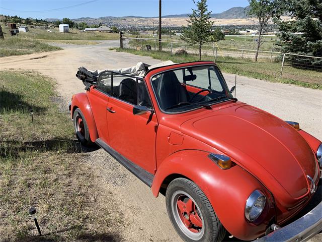 1975 Volkswagen Beetle (CC-1241207) for sale in Butte, Montana