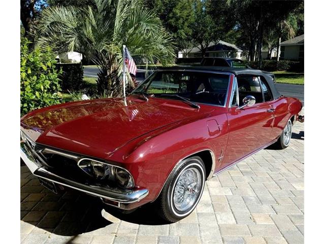1966 Chevrolet Corvair (CC-1241606) for sale in Long Island, New York