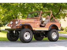 1982 Jeep CJ5 (CC-1241704) for sale in Whitehall, Pennsylvania