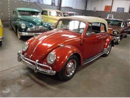 1966 Volkswagen Beetle (CC-1241788) for sale in Cadillac, Michigan