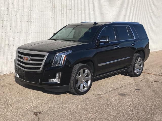 2016 Cadillac Escalade (CC-1241894) for sale in Shelby Township, Michigan