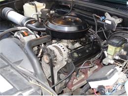 1995 Chevrolet Pickup (CC-1242475) for sale in Cadillac, Michigan