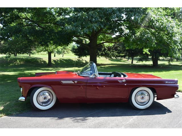 1955 Ford Thunderbird (CC-1242652) for sale in Traverse City, Michigan