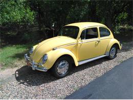1966 Volkswagen Beetle (CC-1242657) for sale in Prescott, Arizona