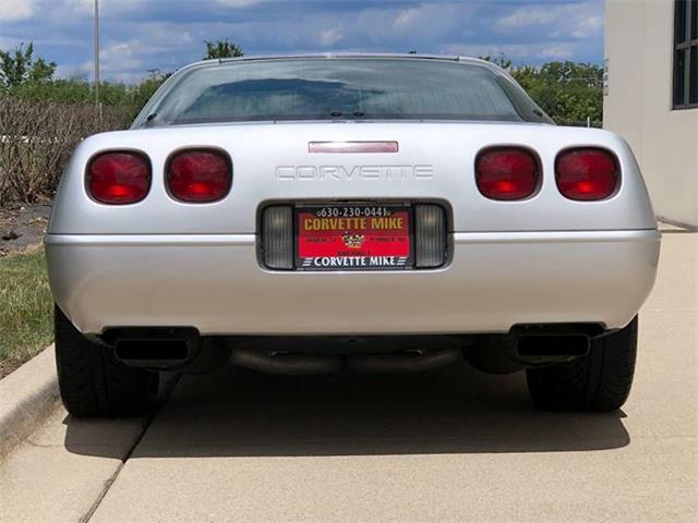 1996 Chevrolet Corvette C4 (CC-1244519) for sale in Burr Ridge, Illinois