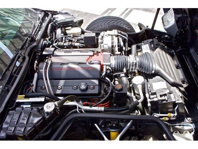 1996 Chevrolet Corvette C4 (CC-1244519) for sale in Burr Ridge, Illinois