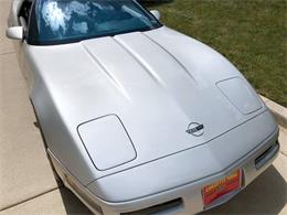 1996 Chevrolet Corvette C4 (CC-1244519) for sale in Burr Ridge, Illinois