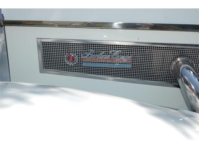 1982 Phillips Berlina (CC-1245417) for sale in West Chester, Pennsylvania