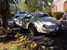 1982 Phillips Berlina (CC-1245417) for sale in West Chester, Pennsylvania