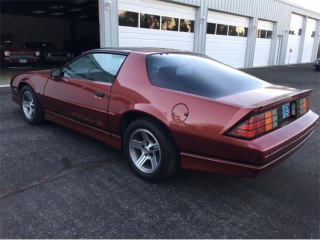 1988 Chevrolet Camaro IROC Z28 (CC-1245998) for sale in Sparks, Nevada