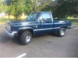 1982 Chevrolet Scottsdale (CC-1246111) for sale in Cadillac, Michigan