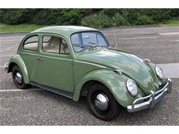 1963 Volkswagen Beetle (CC-1246404) for sale in West Chester, Pennsylvania