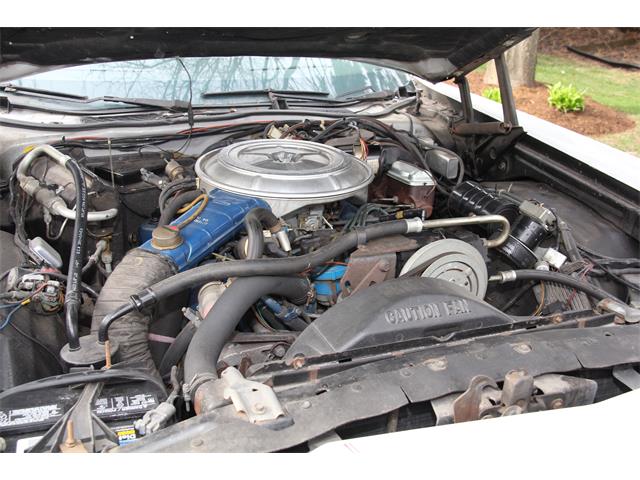 1977 Ford Thunderbird (CC-1246720) for sale in OAK BROOK              , Illinois