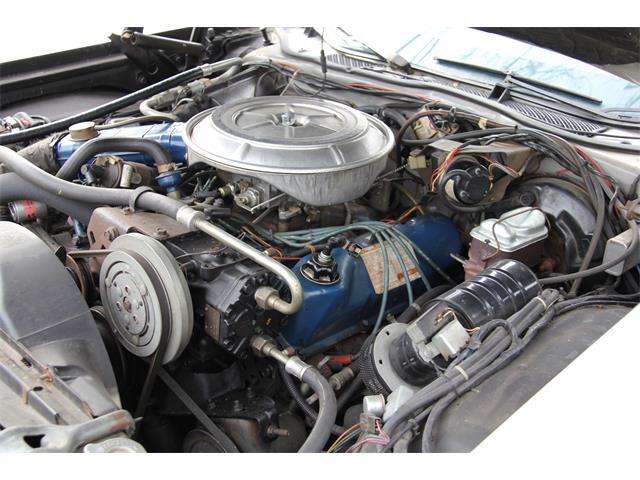 1977 Ford Thunderbird (CC-1246720) for sale in OAK BROOK              , Illinois