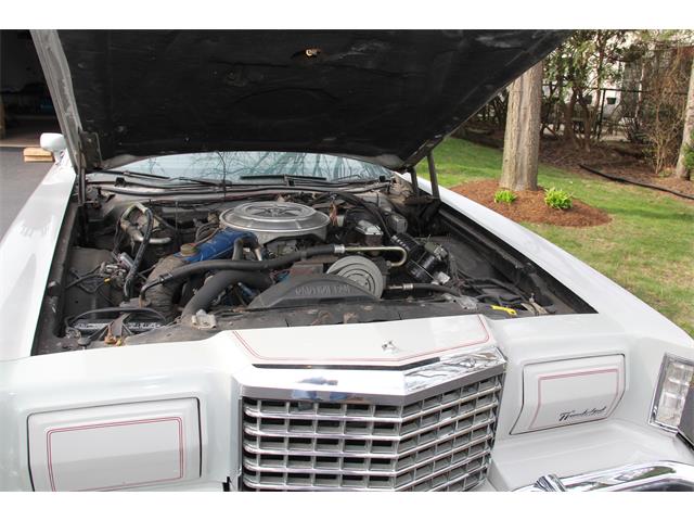1977 Ford Thunderbird (CC-1246720) for sale in OAK BROOK              , Illinois