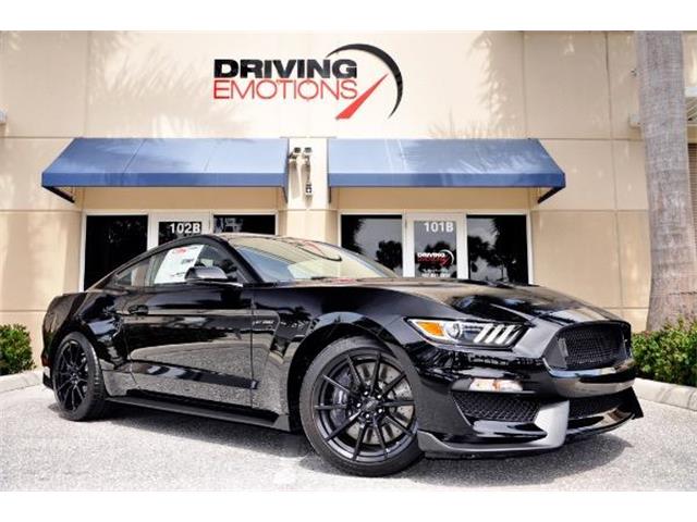 2015 Shelby GT350 (CC-1247531) for sale in West Palm Beach, Florida