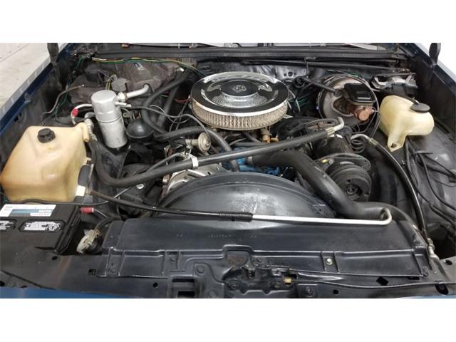 1979 GMC Caballero (CC-1247605) for sale in Mankato, Minnesota