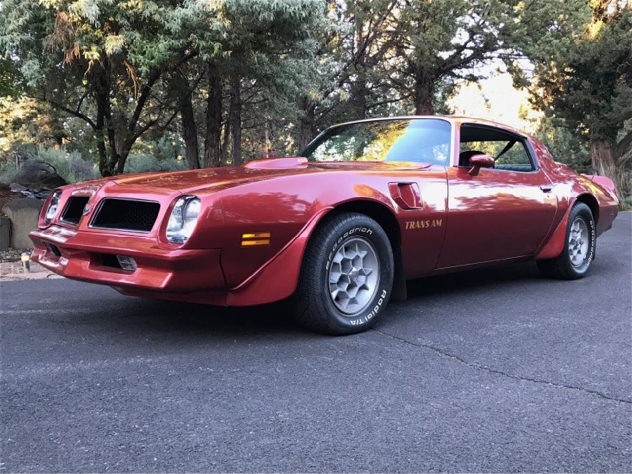 1976 Pontiac Firebird Trans Am for Sale | ClassicCars.com | CC-1240766