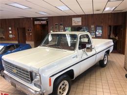 1976 Chevrolet C20 (CC-1247974) for sale in MILL HALL, Pennsylvania