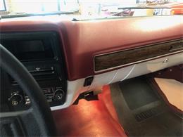 1976 Chevrolet C20 (CC-1247974) for sale in MILL HALL, Pennsylvania