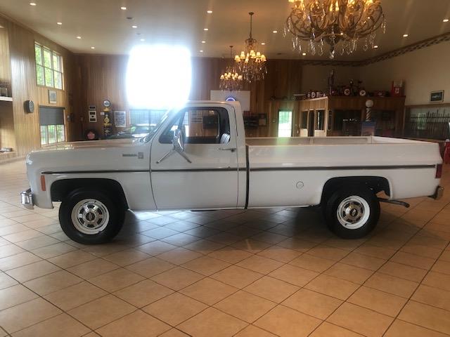 1976 Chevrolet C20 (CC-1247974) for sale in MILL HALL, Pennsylvania