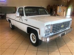1976 Chevrolet C20 (CC-1247974) for sale in MILL HALL, Pennsylvania