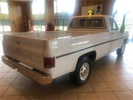 1976 Chevrolet C20 (CC-1247974) for sale in MILL HALL, Pennsylvania