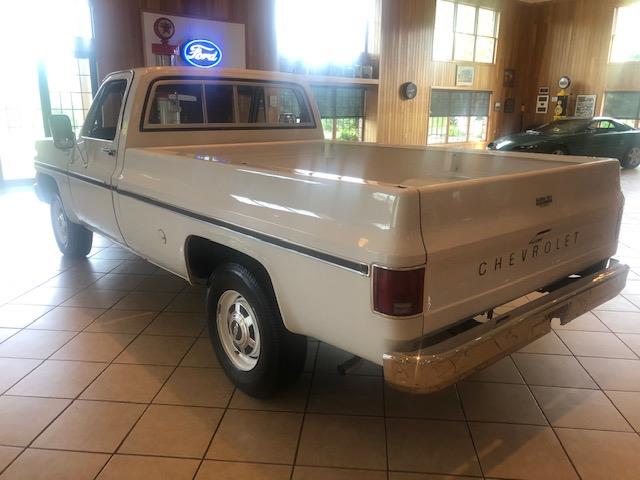1976 Chevrolet C20 (CC-1247974) for sale in MILL HALL, Pennsylvania