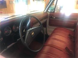 1976 Chevrolet C20 (CC-1247974) for sale in MILL HALL, Pennsylvania