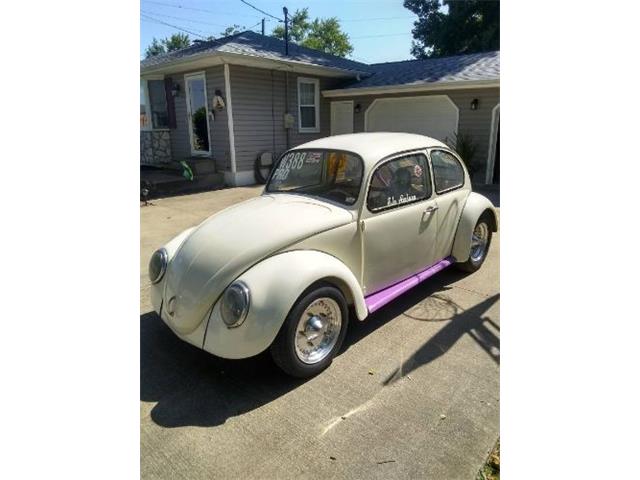 1965 Volkswagen Beetle (CC-1248911) for sale in Cadillac, Michigan