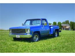 1978 Chevrolet Pickup (CC-1249056) for sale in Watertown, Minnesota