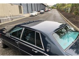 1982 Cadillac Seville (CC-1251406) for sale in TACOMA, Washington