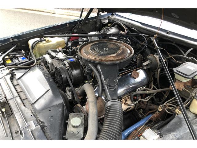 1982 Cadillac Seville (CC-1251406) for sale in TACOMA, Washington