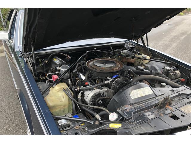 1982 Cadillac Seville (CC-1251406) for sale in TACOMA, Washington