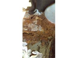 1971 Oldsmobile 98 (CC-1252052) for sale in Walled Lake, Michigan