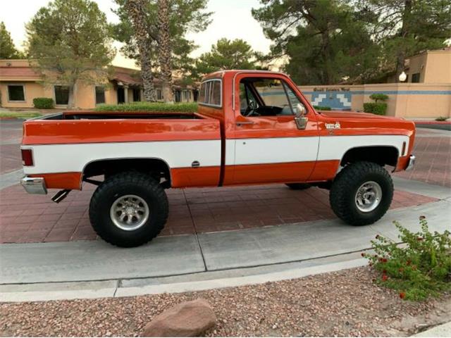 1978 Chevrolet C10 (CC-1252702) for sale in Cadillac, Michigan