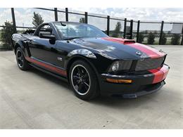 2008 Shelby GT (CC-1252928) for sale in Las Vegas, Nevada