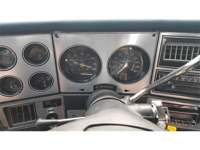 1980 Chevrolet C/K 10 (CC-1253096) for sale in Conroe, Texas